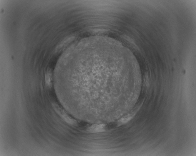 X0000081330138200702020034