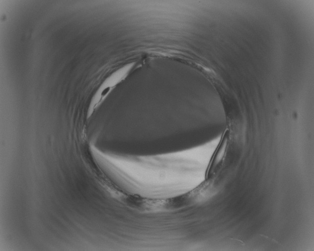 X0000081330143200702020034