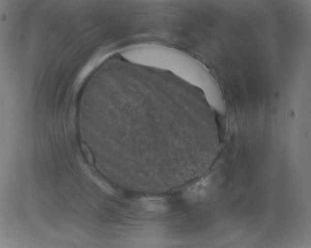 X0000081330150200702020033