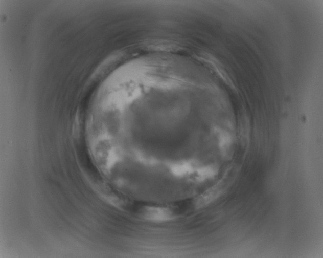 X0000081330167200702020033