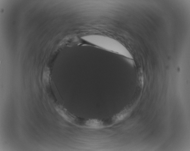 X0000081330231200702020032