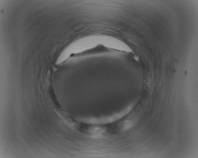 X0000081330319200702020031