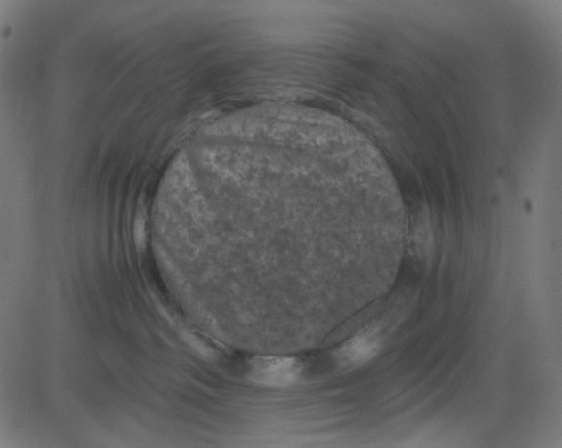 X0000081330334200702020030