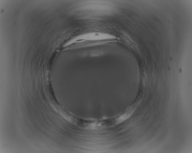 X0000081330366200702020030