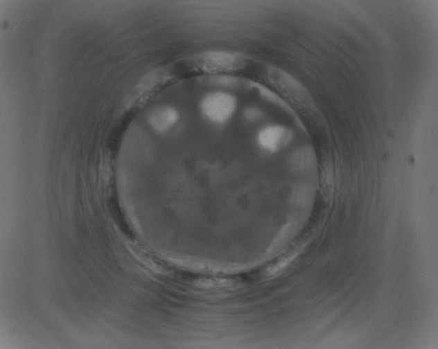 X0000081330367200702020030