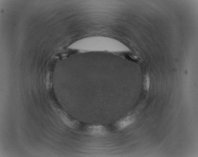 X0000081330428200702020029