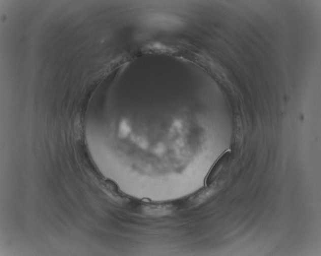 X0000081330465200702020029