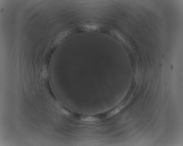 X0000081330467200702020029
