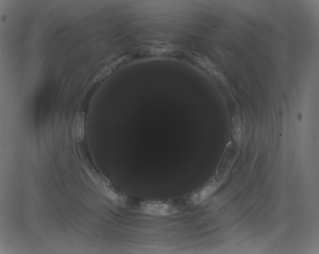 X0000081330471200702020029