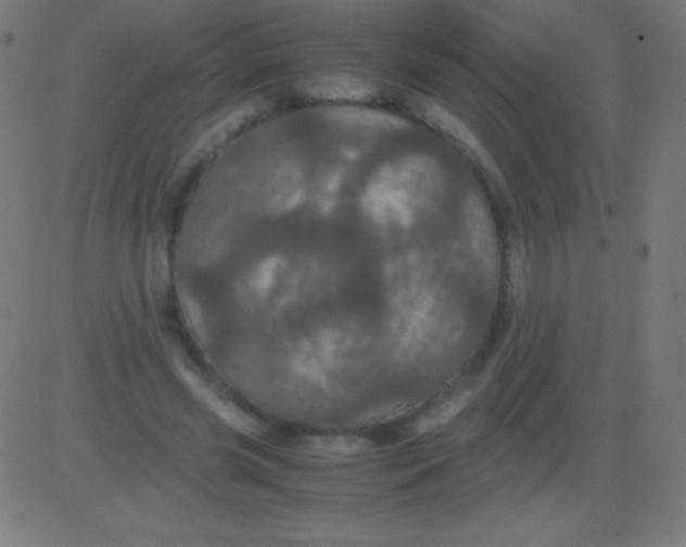 X0000081330541200702020027