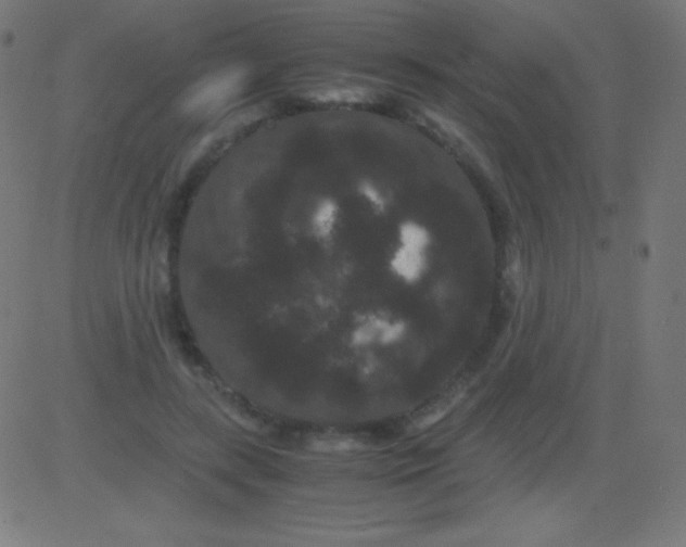X0000081330547200702020027