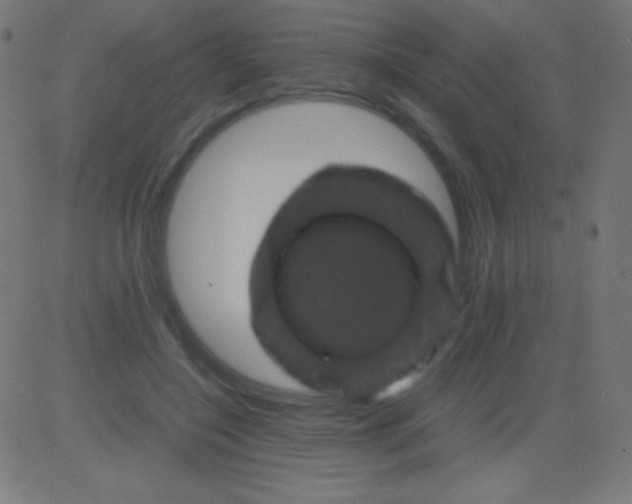 X0000081330548200702020027