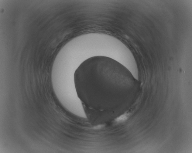 X0000081330559200702020027