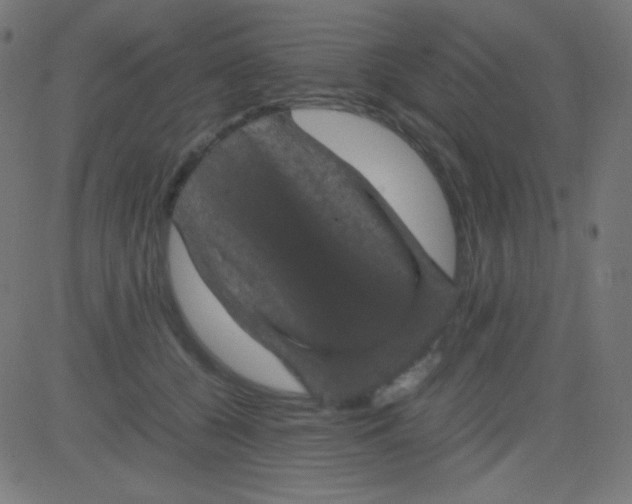 X0000081330560200702020027