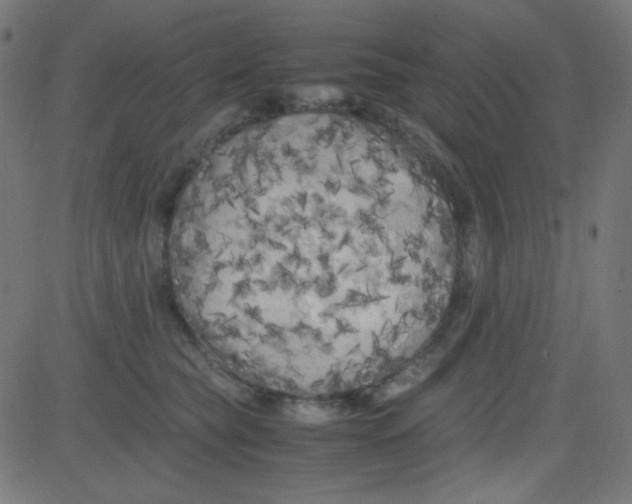 X0000081330565200702020027
