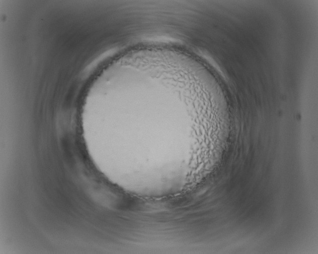 X0000081330583200702020026