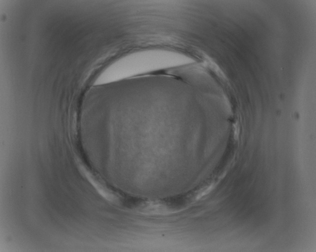 X0000081330589200702020026