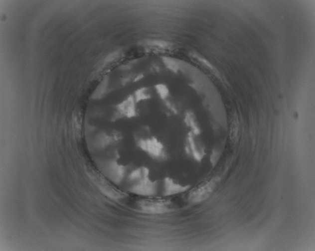 X0000081330661200702020026