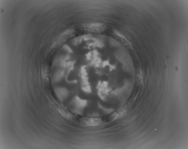 X0000081330663200702020026