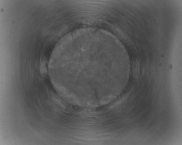 X0000081330770200702020023