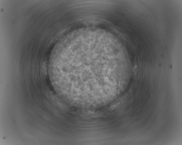 X0000081330772200702020023