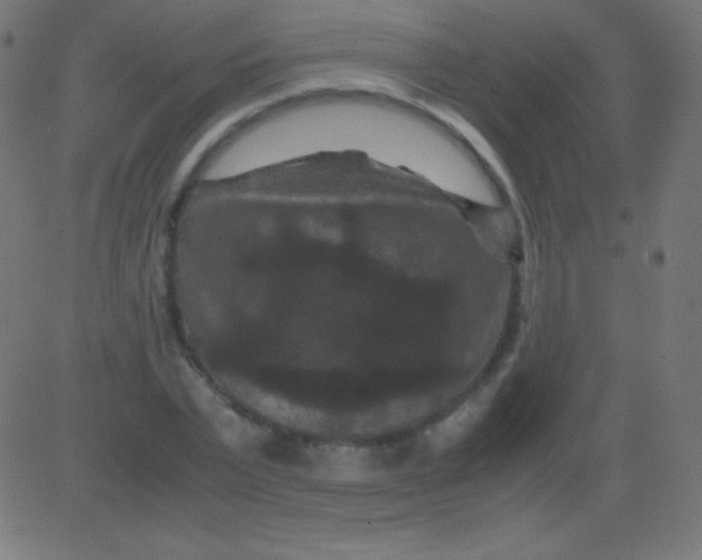 X0000081330783200702020023