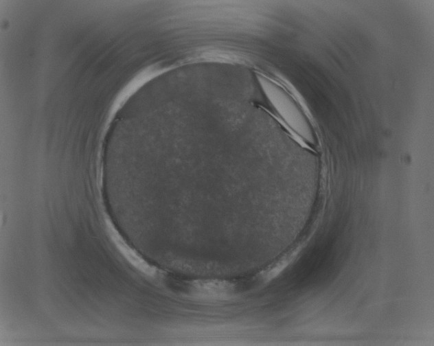 X0000081330795200702020023