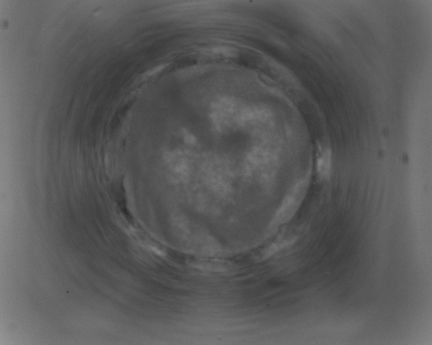 X0000081330819200702020022