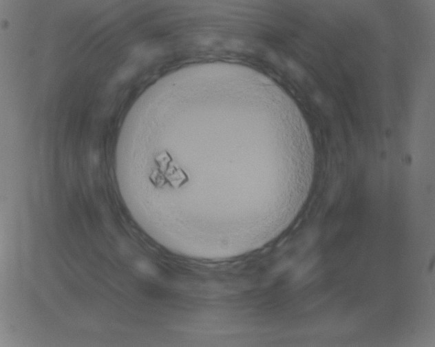 X0000081330820200702020022