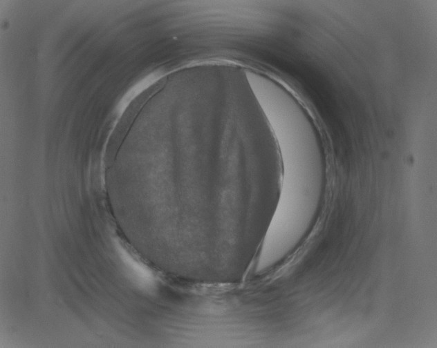 X0000081330858200702020022