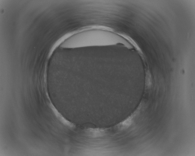 X0000081330910200702020021