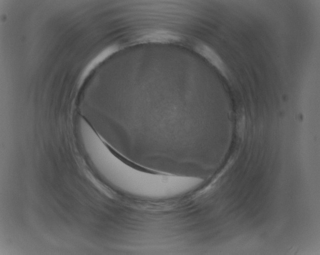 X0000081331026200702020019