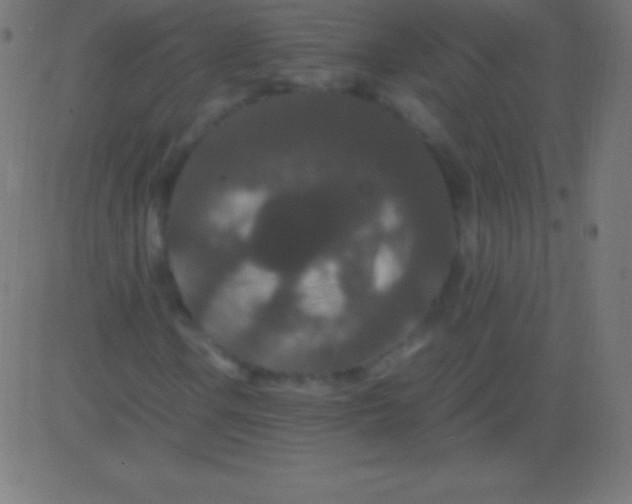 X0000081331106200702020017