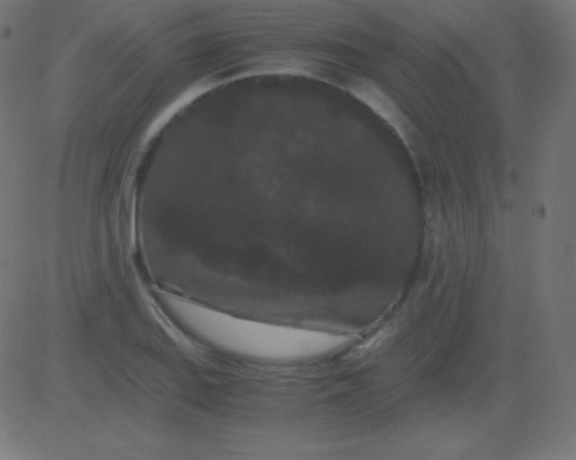 X0000081331127200702020017