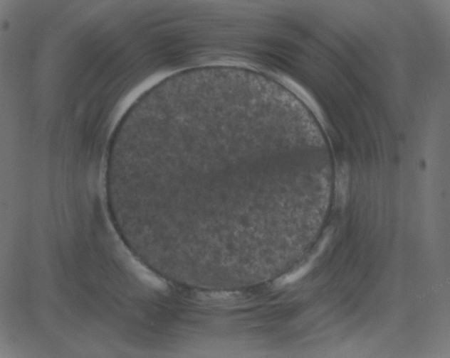 X0000081331149200702020018