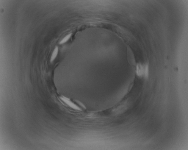 X0000081331155200702020017