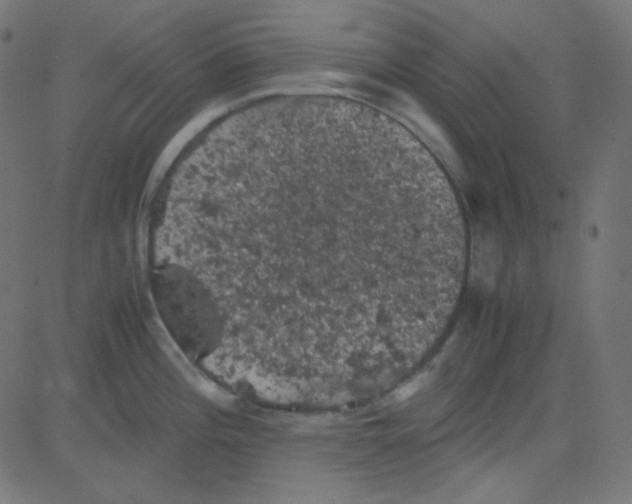 X0000081331196200702020016