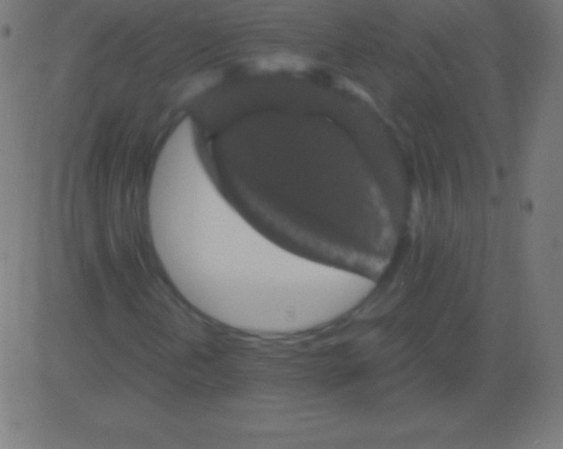 X0000081331202200702020016
