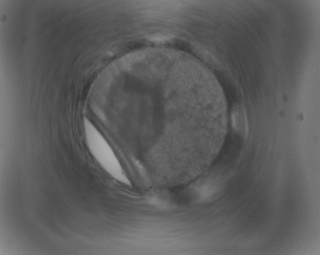X0000081331347200702020014