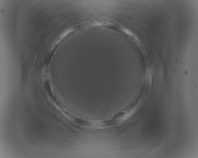 X0000081331353200702020014