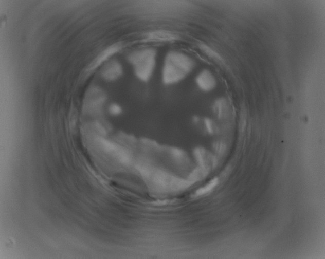 X0000081331401200702020013