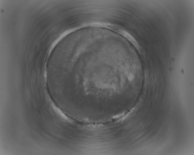 X0000081331428200702020013