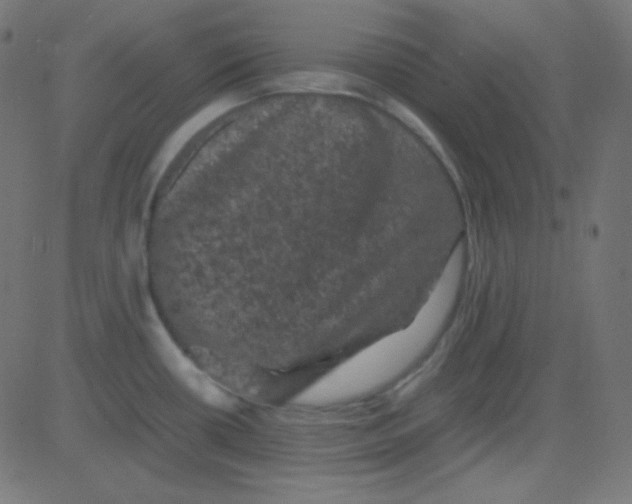 X0000081331434200702020013