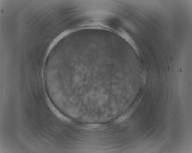 X0000081331482200702020012