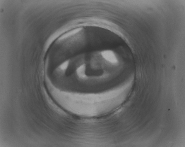 X0000081331522200702020011