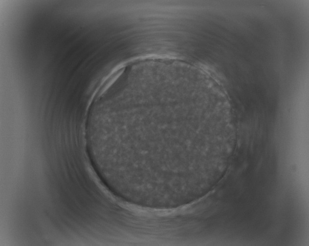 X0000081330002200702082214