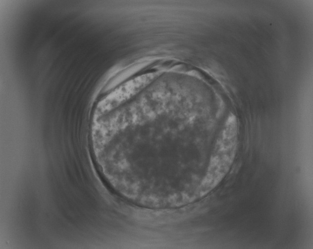 X0000081330003200702082214