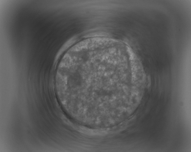 X0000081330004200702082214