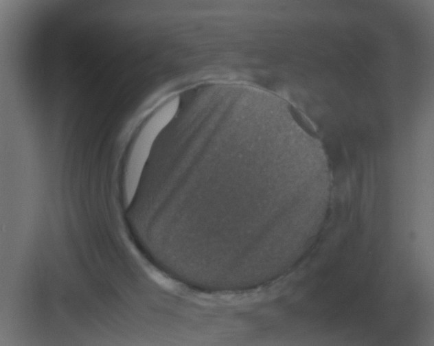 X0000081330005200702082214