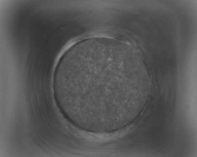 X0000081330006200702082214